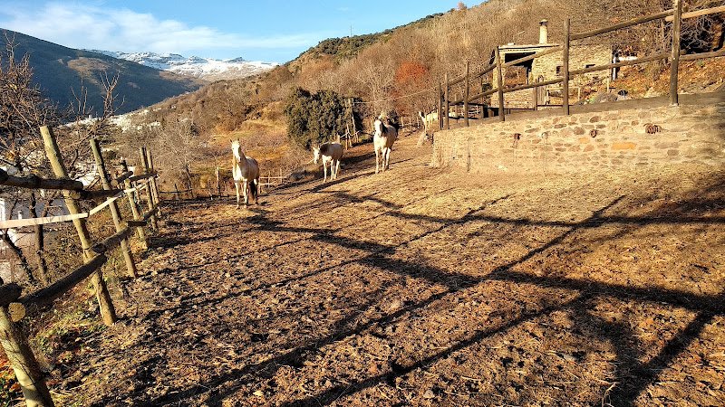 Alojamiento Rural Casa Margarita - ()