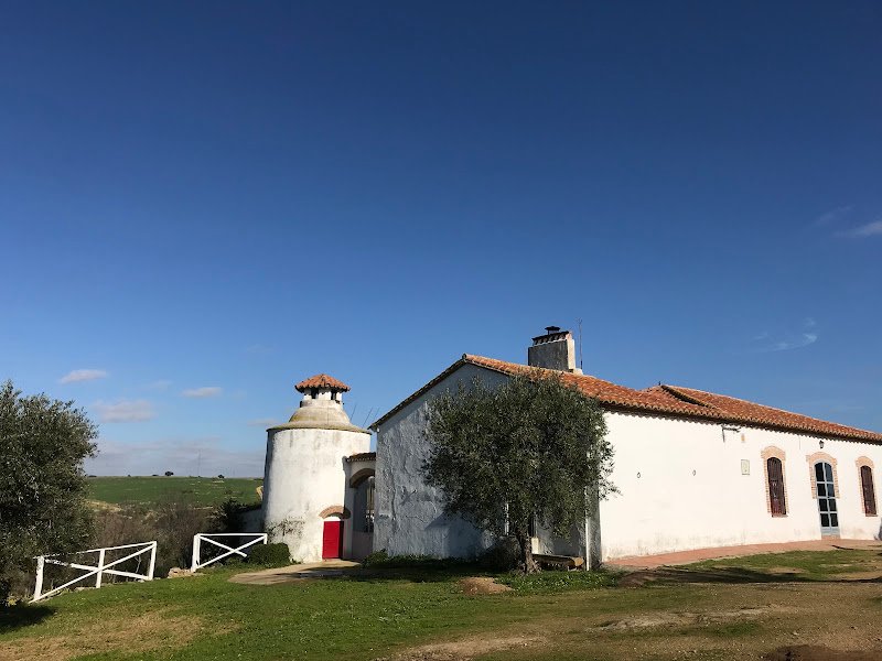 Cortijo Viña del Duco - Azuaga - BA0058 - ()