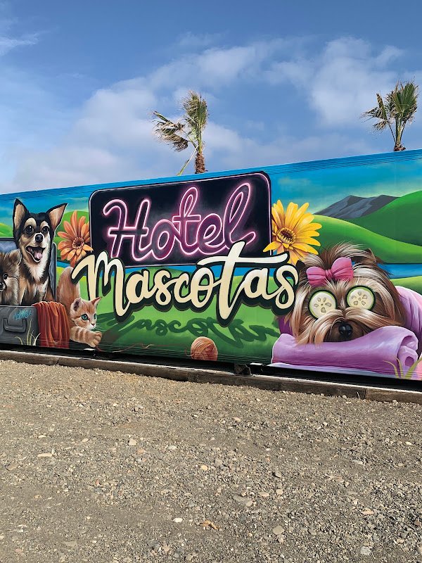 HOTEL MASCOTAS - ()