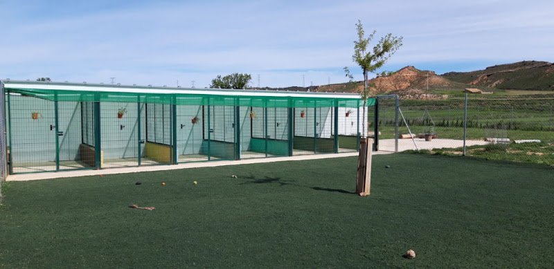 Jaranela. Hotel para mascotas - ()