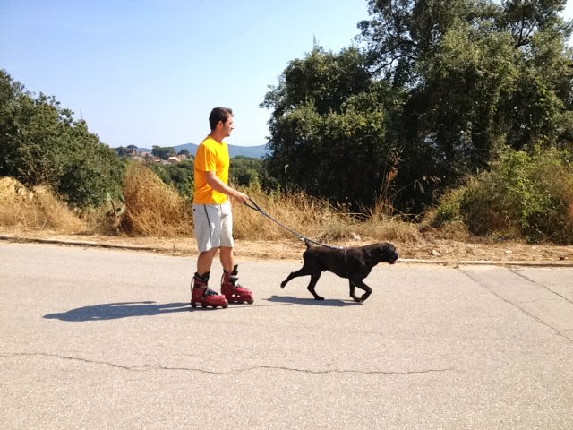 La Masia / Centro canino La Masia - ()