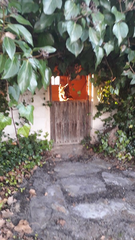 Residencia Canina Sotocampana - ()