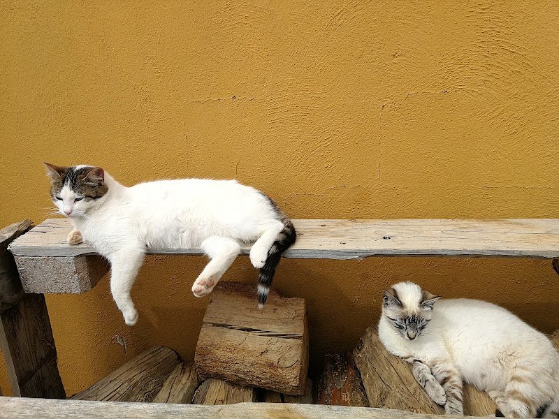 Residencia de animales Los Rosales - ()